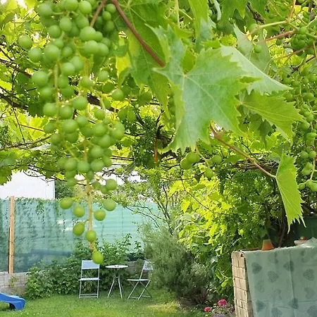 Ahr-weinbergblick Apartamento *