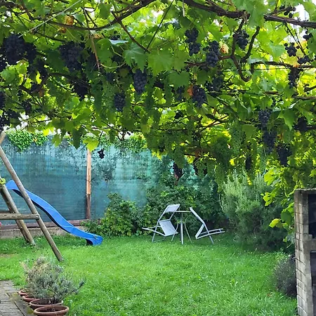 Ahr-weinbergblick 아파트 바트노이에나르아르바일러