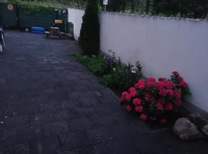 Ahr-weinbergblick Apartamento *