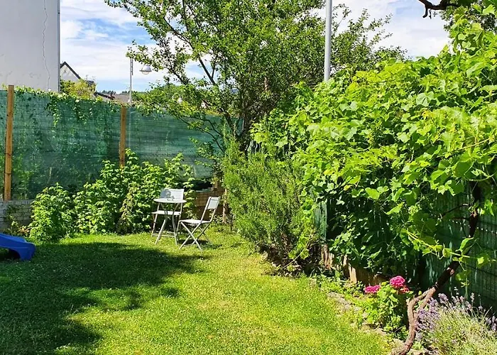 Lägenhet Ahr-weinbergblick *