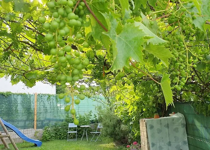 Ahr-weinbergblick Lägenhet *