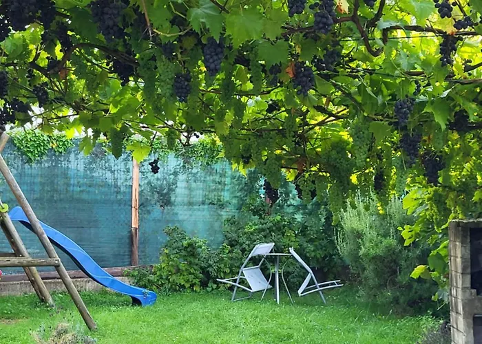 Ahr-weinbergblick Lägenhet Bad Neuenahr-Ahrweiler